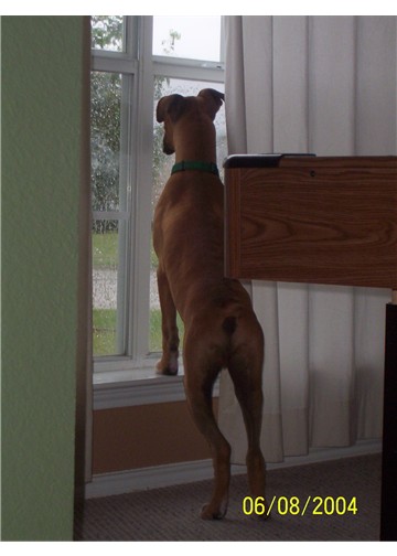 rainy day