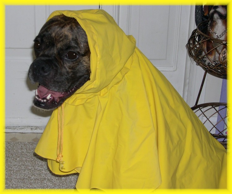RAINY DAY!