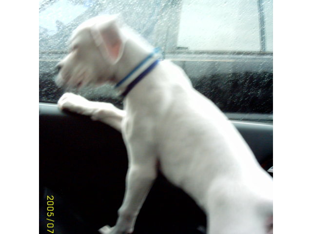 rainy_day