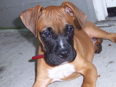 Rajah 14 weeks old