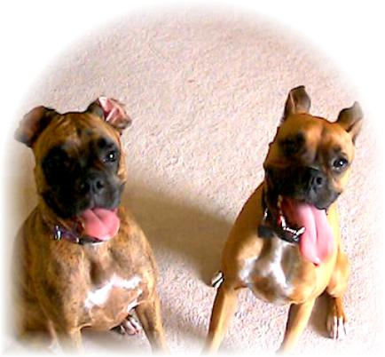Ramy and Her Friend Barkley