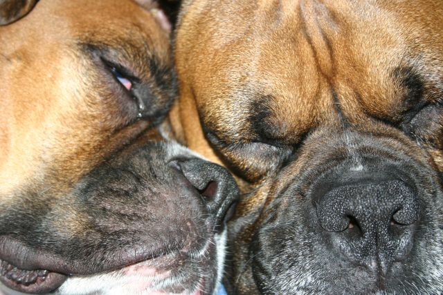Ranger and Mack