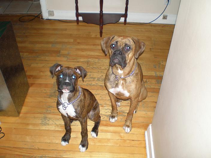 Ranger and Taĩka