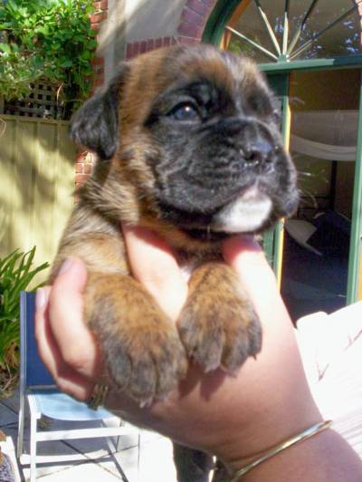 Rasmus - 23 days old.