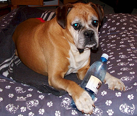 Ray love plastic bottles