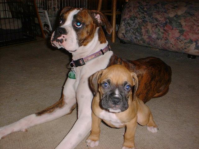 Rayne & Kimber