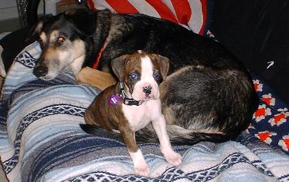 RAYNE'S FIRST DAY HOME