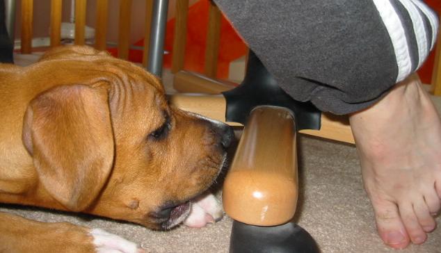 reaaady!!..steeaady!!!......OUCH!!!!