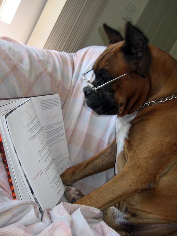 Reading is fundemental...