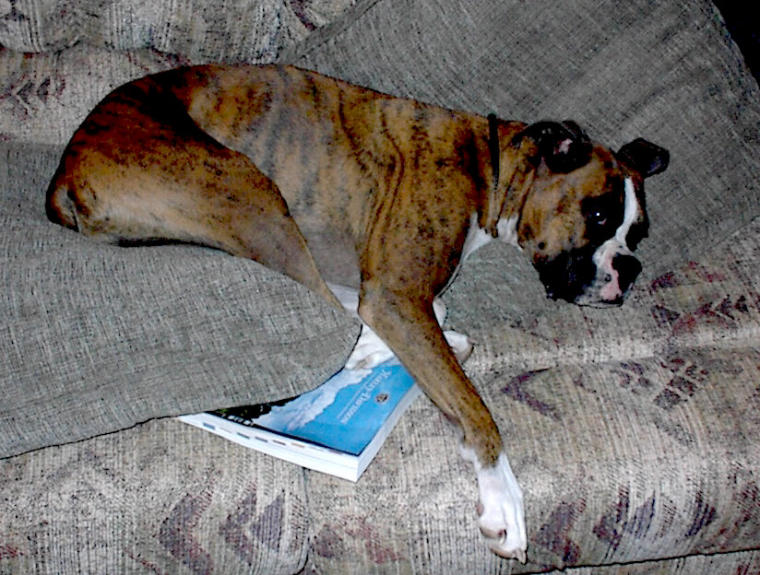 reading makes me sleepy