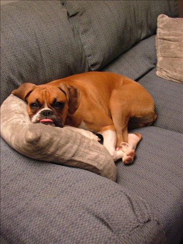 Ready for a nap