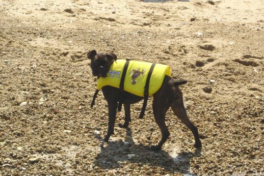 Ready for a swim