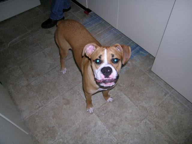 Ready for a yummy treat!
