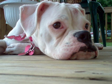 Ready for my closeup!