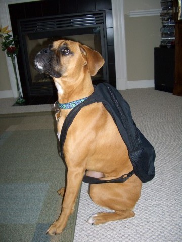 Ready for school