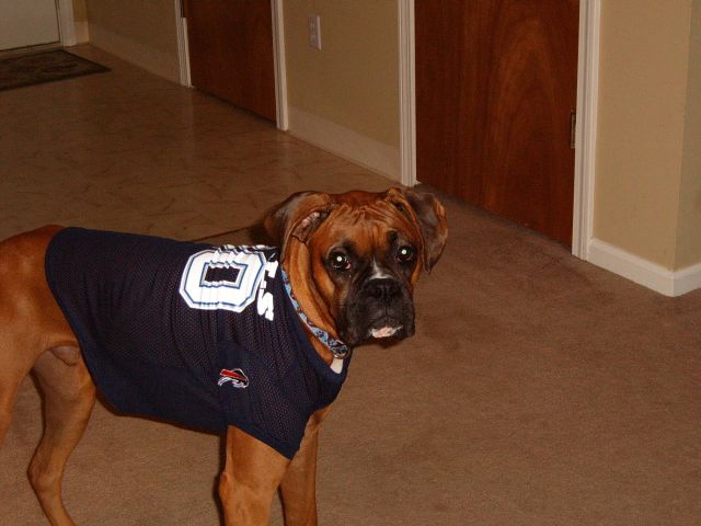 Ready for Sunday