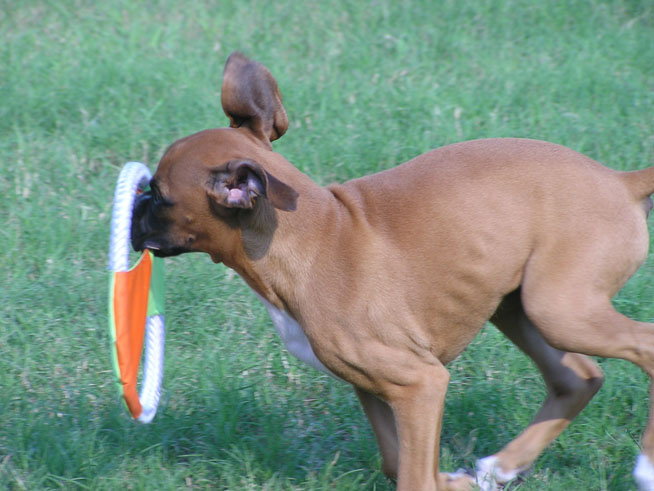 Ready for take-off