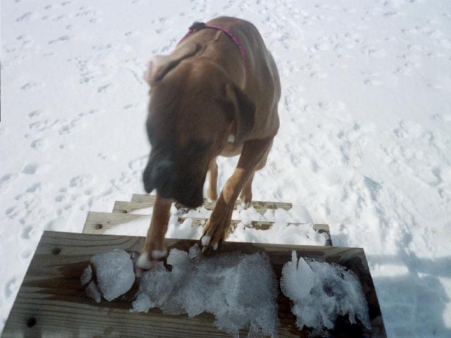Ready to come in..burrrr
