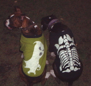 Ready to go trick or treating