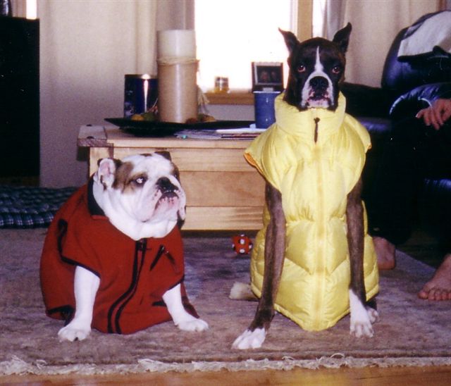 Ready to play in the snow!