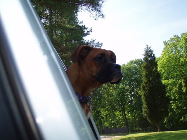Ready to ride!!
