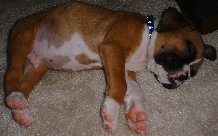 REALLY I HAVE MORE ENERGY THAN THIS!!