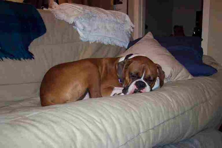 Really Sleepy