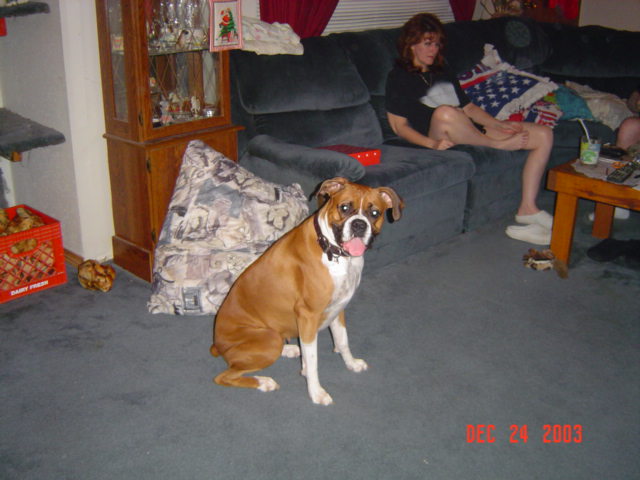 Reba