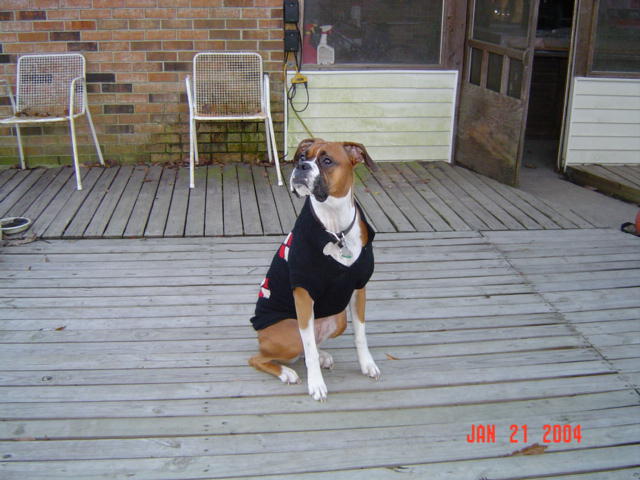 Reba
