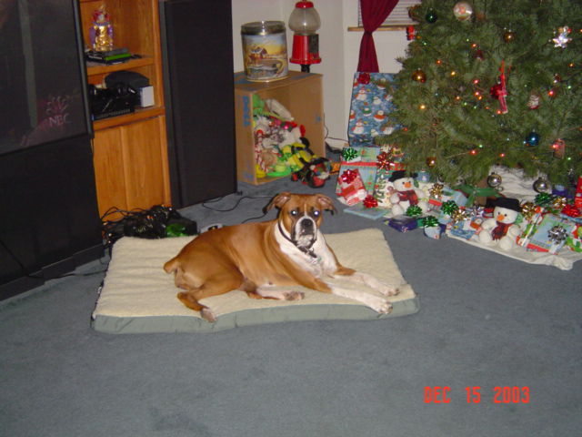 Reba