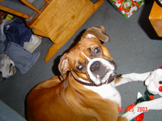 Reba_2003-5