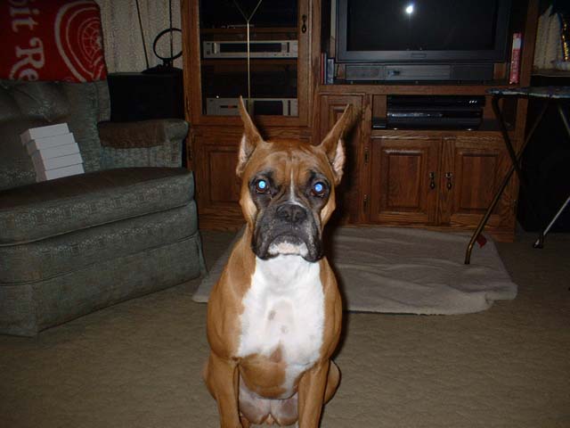 Rebel almost three years.