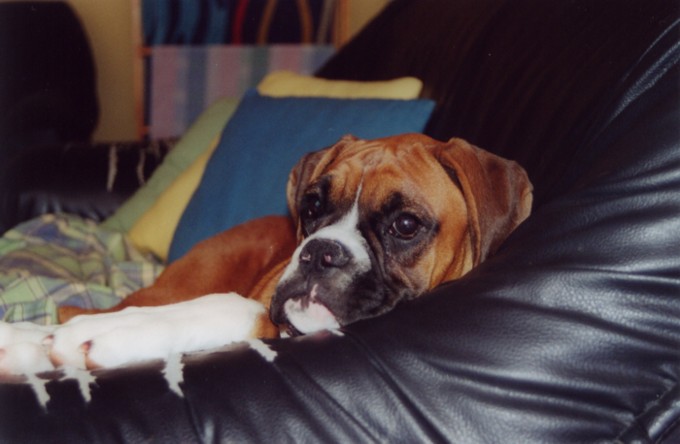 reclining