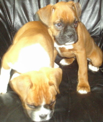 Red with his sister