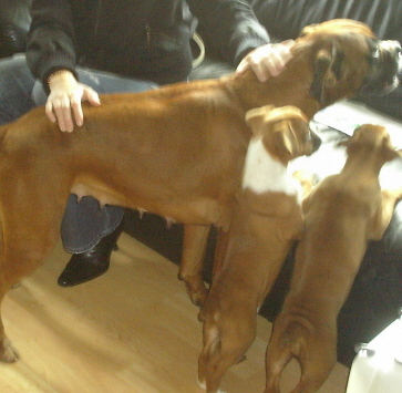 Red with mum and sis