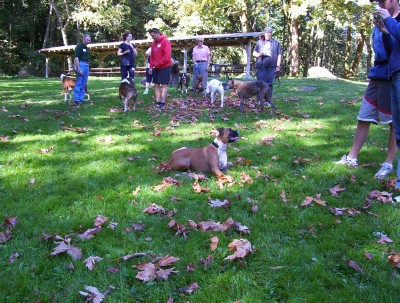 Redwood Park