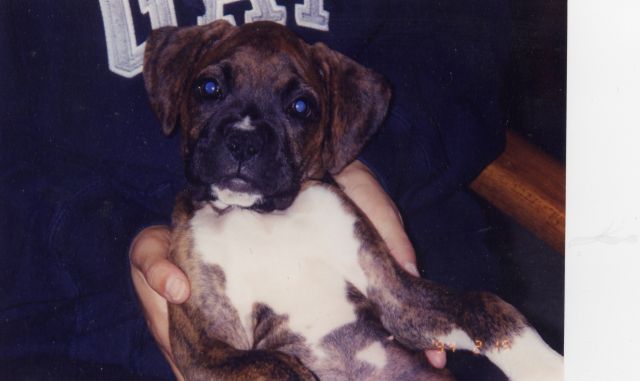 Reese at 4 months