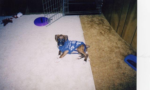 Reese with her sweater