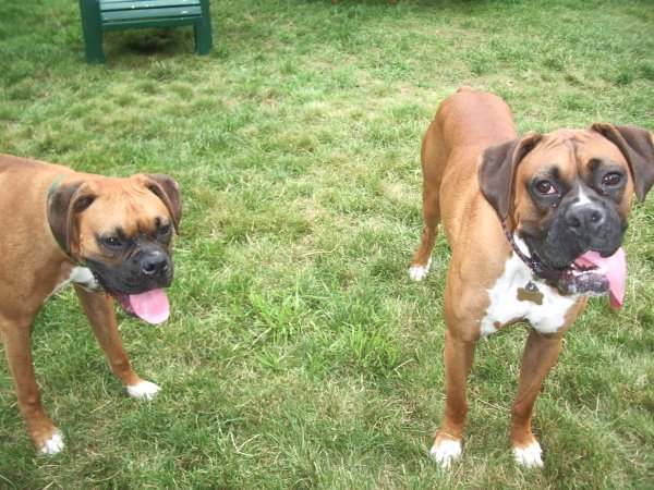 Reggie and Sugar Ray