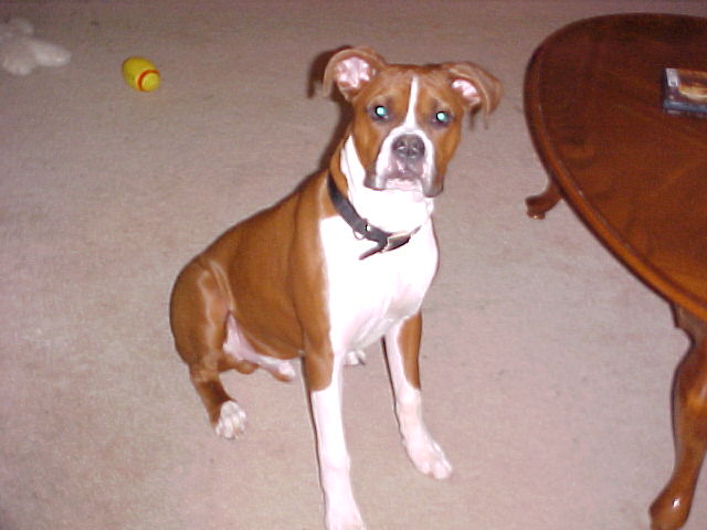 Reggie