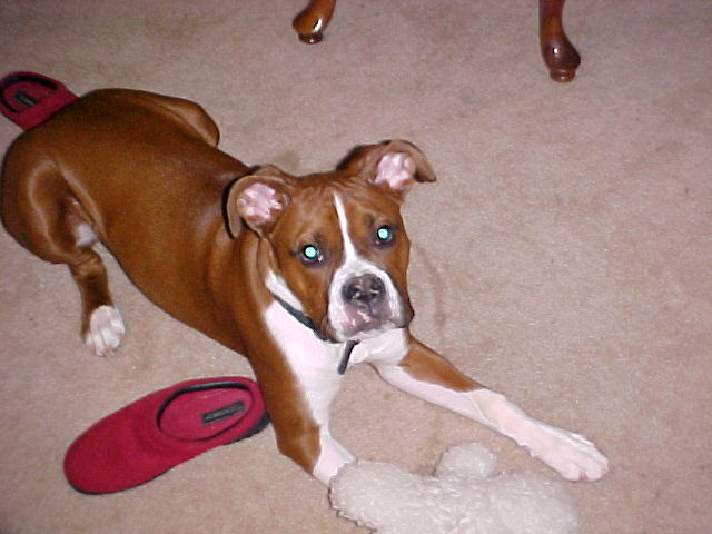 Reggie