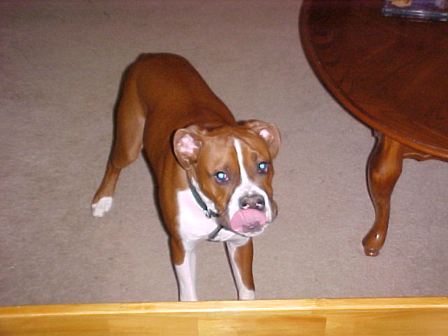 Reggie