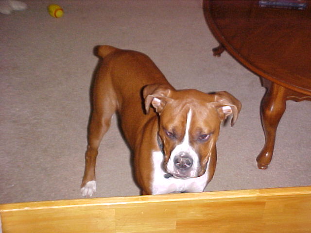 Reggie
