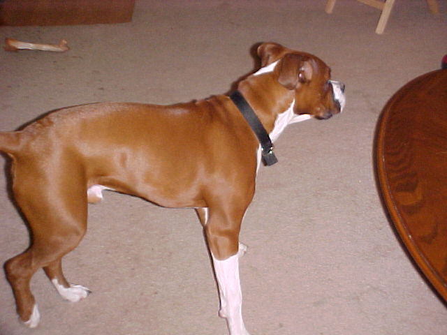 Reggie