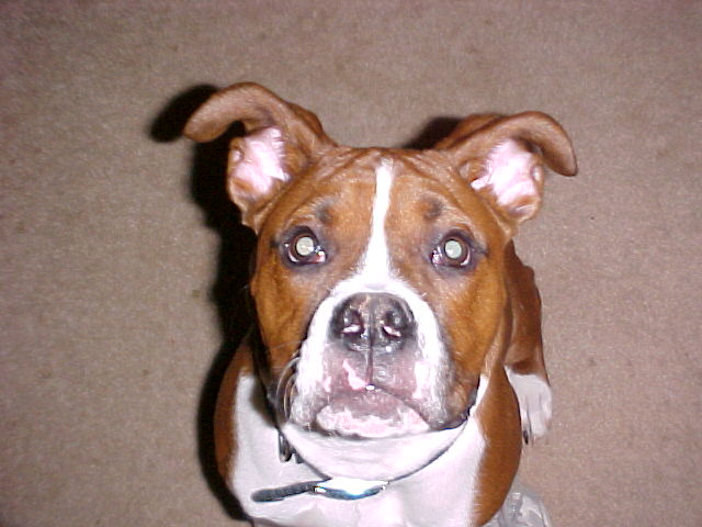 Reggie