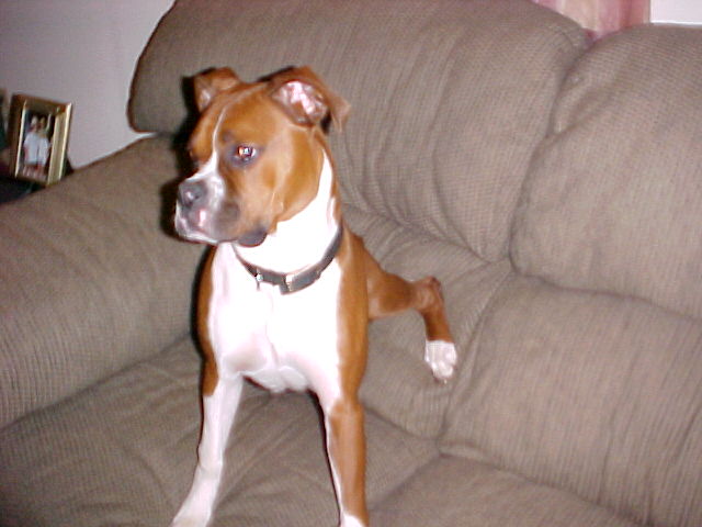 Reggie