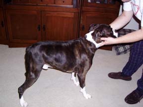Reggie's profile