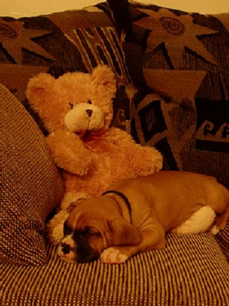 Relaxin' at 6 weeks