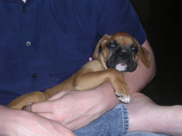 Relaxin with Dad