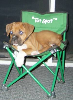 Relaxing on a chair